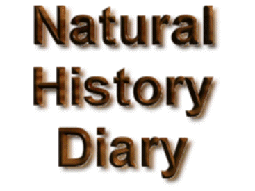 Natural History Diary - click on a date below
